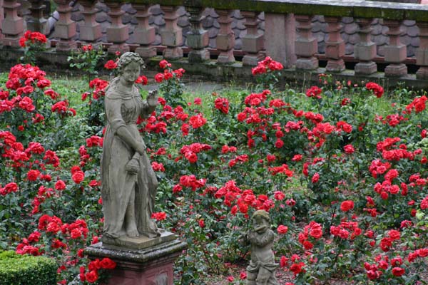 2004-08-14 15-34-27C